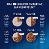 Феликс АППЕТИТНЫЕ КУСОЧКИ влажный корм для кошек с курицей и томатами, кусочки в желе, 75г, FELIX