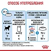 Роял Канин МИНИ ПАППИ влажный корм для щенков мелких пород, кусочки в соусе, 85г, ROYAL CANIN Mini Puppy