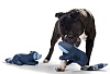 Игрушка для собак ХАНТЕР Скибби Скунс 30см, синяя, хлопок, 61976, HUNTER SKIBBY