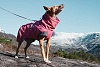Попона утепленная для собак Хуртта ЭКСПЕДИШН ПАРКА 35, длина спины 35см, объем груди 35-65см, ягодная, полиэстер, 933723, HURTTA Expedition Parka