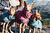 Попона утепленная для собак Хуртта ЭКСПЕДИШН ПАРКА 80, длина спины 80см, объем груди 60-110см, синяя, полиэстер, 933718, HURTTA Expedition Parka