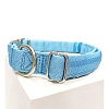 Ошейник для собак с металлической пряжкой, размер L, 25мм/38-66, голубой, нейлон, KCMC-25.HD/LB, JAPAN PREMIUM PET