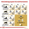 Роял Канин ПЕРСИАН сухой корм для кошек Персидской породы,  2кг, ROYAL CANIN Persian