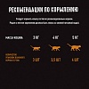 Крэйв влажный корм для кошек с кроликом в желе, 70г, CRAVE Adult Cat Food