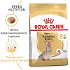 Роял Канин ЙОРКШИРСКИЙ ТЕРЬЕР ЭЙДЖИНГ 8+ сухой  для пожилых собак породы Йоркширский Терьер, 1,5кг, ROYAL CANIN Yorkshire Terrier 8+