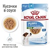 Роял Канин МИНИ ПАППИ влажный корм для щенков мелких пород, кусочки в соусе, 85г, ROYAL CANIN Mini Puppy