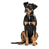 Ошейник для собак Хантер СВИСС 42, 26мм/35-40см, коричневый/черный, натуральная кожа, 42827, HUNTER Swiss