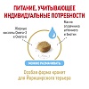 Роял Канин ЙОРКШИРСКИЙ ТЕРЬЕР ЭЙДЖИНГ 8+ сухой  для пожилых собак породы Йоркширский Терьер,  500г, ROYAL CANIN 