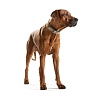 Ошейник для собак ХАНТЕР Спешл Эдишн 50, 28мм/36,5-43,5см, цвет камня, натуральная кожа наппа, 47944, HUNTER SPECIAL EDITION