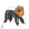 Комбинезон для собаки ТОЙ-ТЕРЬЕР, дождевик - камуфляж, без подкладки, на суку, длина спины 26см, обхват груди 34см, ТУЗИК