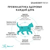 Грандорф Фреш КИТТЕН беззерновой корм с живыми пробиотиками для котят с 3 недель, свежее мясо ягненка с бататом, 2кг, GRANDORF FRESH Kitten