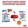 Роял Канин МИНИ ПАППИ влажный корм для щенков мелких пород, кусочки в соусе, 85г, ROYAL CANIN Mini Puppy