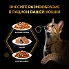 Про План КИТТЕН влажный корм для котят, паштет с индейкой, 75г, PRO PLAN Kitten Healthy Start