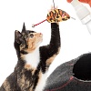 Биафар ПЛЕЙ СПРЕЙ спрей для привлечения кошек к когтеточкам и игрушкам, 150мл, BEAPHAR Play Spray