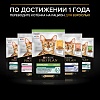 Про План КИТТЕН влажный корм для котят, с курицей в желе, 85г, PRO PLAN Kitten Healthy Start