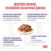 Роял Канин НЬЮТРИД МЭЙНТЕНЭНС диетический влажный корм для кастрированных котов и кошек, кусочки в соусе, 85г, ROYAL CANIN Neutered Maintenance