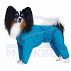 Комбинезон для собаки ВЕЛЬШ-КОРГИ, мембранная непромокаемая ткань, НА КОБЕЛЯ, длина спины 46см, обхват груди 62см, ТУЗИК