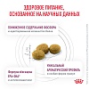Роял Канин РЕНАЛ лечебный сухой корм для кошек, 4кг, ROYAL CANIN RENAL
