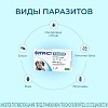 ФИПРИСТ КОМБО препарат от клещей, блох, вшей, власоедов для собак весом 20-40кг, 1 пипетка, КRКА Fiprist Combo