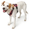 Шлейка для собак Хантер МЭЛДОН, размер L, 25мм/69-105см, красная/серая, нейлон/полиэстер, 67502, HUNTER Maldon 