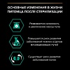 Про План СТЕРИЛАЙЗД влажный корм для стерилизованных кошек, с лососем в соусе, 85г, PRO PLAN Sterilised Maintenance