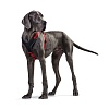 Шлейка для собак ХАНТЕР Неопрен, размер XL, 25мм/73-94см. красная/черная, нейлон/неопрен, 62272, HUNTER NEOPREN 