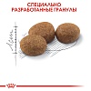 Роял Канин СТЕРИЛАЙЗД сухой корм для стерилизованных кошек,  4кг, ROYAL CANIN Sterilised 