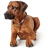 Ошейник для собак ХАНТЕР Занзибар Рантум 2*10мм/65см, нерегулируемый, серый, нейлон, 65650, HUNTER SANSIBAR RANTUM