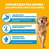 Педигри сухой корм для собак всех пород с говядиной,  6кг, PEDIGREE