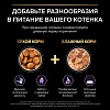 Про План КИТТЕН влажный корм для котят, с лососем в соусе, 85г, PRO PLAN Kitten Healthy Start