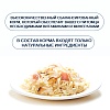 Ванпи влажный корм для кошек с курицей и лососем, 95г, WANPY Cat