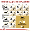 Роял Канин СИАМИС сухой корм для кошек Сиамской Породы,  400г, ROYAL CANIN Siamese