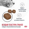 Роял Канин ДЕНТАЛ КЕА сухой корм для кошек для профилактики образования зубного камня,  400г, ROYAL CANIN Dental Care