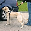 Автомобильный ремень безопасности со шлейкой для собак,  20-50см, нейлон, 1288, TRIXIE