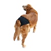 Трусики для собак защитные во время течки, размер L, обхват талии 50-59см, черные, 23494, TRIXIE