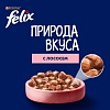 Феликс ПРИРОДА ВКУСА влажный корм для кошек с лососем, кусочки в соусе, 75г, FELIX