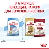 Роял Канин МЕДИУМ ПАППИ сухой корм для щенков средних пород,  3кг, ROYAL CANIN Medium Puppy
