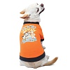 Толстовка для собак ДИСНЕЙ МИНИ ОЛВЭЙС, размер L, длина спины 35см, объем груди 46см, обхват шеи 33см, оранжевая, 12281130, TRIOL