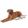 Ошейник для собак ХАНТЕР Занзибар Рантум 2*10мм/55см, нерегулируемый, серый, нейлон, 65648, HUNTER SANSIBAR RANTUM