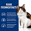 Хиллс W/D лечебный влажный корм для кошек для поддержания оптимального веса при сахарном диабете, кусочки в соусе с курицей, 85г, HILL'S Prescription Diet W/D Multi-Benefit 