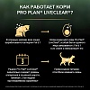 Про План ЛАЙФ КЛЕА сухой корм для котят, снижает количество аллергенов в шерсти, с индейкой, 1,4кг, PRO PLAN LiveClear