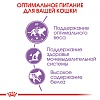 Роял Канин СТЕРИЛАЙЗД сухой корм для стерилизованных кошек,  4кг, ROYAL CANIN Sterilised 