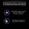 Про План КИТТЕН влажный корм для котят, с лососем в соусе, 85г, PRO PLAN Kitten Healthy Start