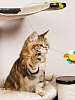 Дразнилка-удочка для кошек ЦВЕТОК, длинная, 75см, 84346, CATTYMAN