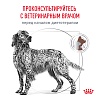 Роял Канин ГЕПАТИК лечебный сухой корм для собак,  6кг, ROYAL CANIN Hepatic