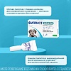 ФИПРИСТ КОМБО препарат от клещей, блох, вшей, власоедов для собак весом 20-40кг, 1 пипетка, КRКА Fiprist Combo