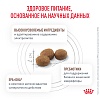 Роял Канин ГАСТРОИНТЕСТИНАЛ лечебный сухой корм для собак, 15кг, ROYAL CANIN Gastrointestinal