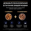 Про План ИНДОР влажный корм для кошек, живущих дома, с лососем в соусе, 85г, PRO PLAN Adult Indoor