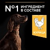 Про План ЛАДЖ АТЛЕТИК ЭДАЛТ сухой корм для собак крупных пород с атлетическим телосложением, с курицей, 14кг, PRO PLAN Large Athletic Adult