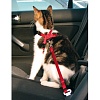 Автомобильный ремень безопасности со шлейкой для кошек, 20-50см, нейлон, 1294, TRIXIE